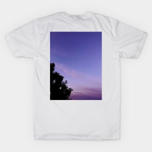 𝘗𝘶𝘳𝘱𝘭𝘦 𝘚𝘶𝘯𝘴𝘦𝘵 𝘚𝘬𝘺 T-Shirt